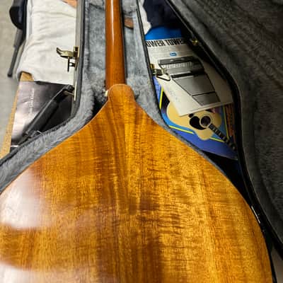 Peterson BOUZOUKI Level 2 2000 - Natural #SR-11-46 image 2