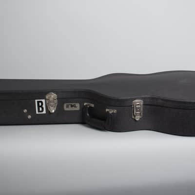 Beard E Odyssey 7-string Resophonic Guitar (2017), ser. #110207, original black tolex hard shell case. image 11
