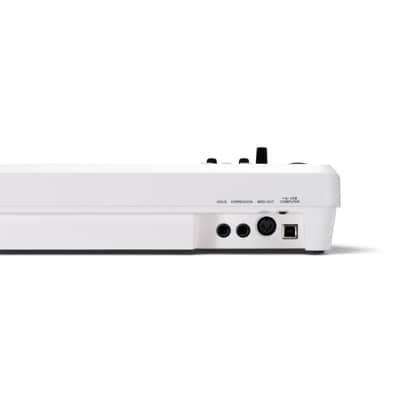 Roland A-49 49-Key MIDI Keyboard Controller, White image 3