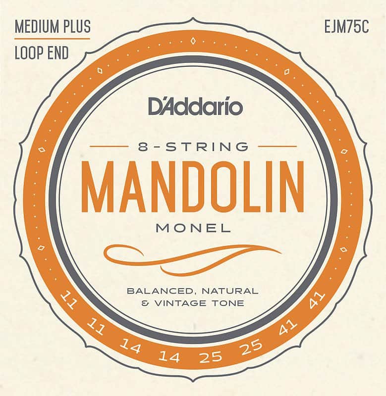 D'Addario Mandolin Strings Monel Medium Plus 11-41 Loop End image 1