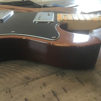 Fender Telecaster Thinline 1973 - 1978 - Walnut (Mocha) image 16