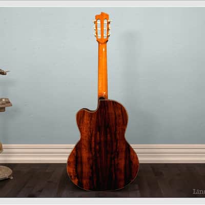 Linda Manzer Nylon String image 2