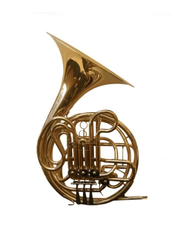 Oxford I-FH Double Keyed French Horn | Gold Lacquer, Rotary Valves, Deluxe Case image 1