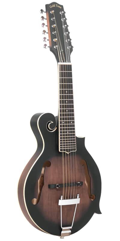 Gold Tone F-12: 12-string F-style Mando-Guitar with Pickup and Case image 1
