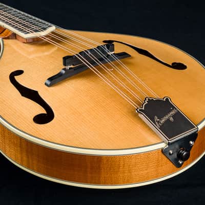 Bourgeois M5A Mandolin Full Aged Tone Adirondack Spruce and European Flamed Maple NEW image 13