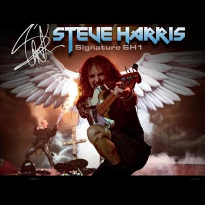 Tech 21 Steve Harris SH1 Signature SansAmp image 3