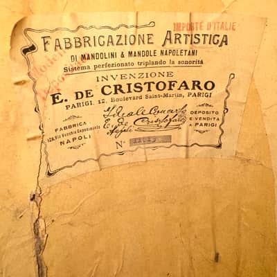 Concert Mandolin E. De Cristofaro 1930's image 20