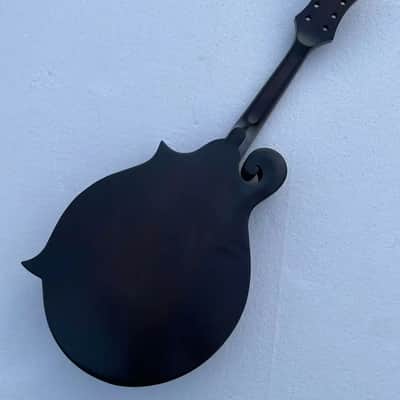 Washburn 8 String Mandolin Project in Black, Solid Spruce Top, Solid Mahogany Body image 2