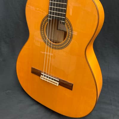 Cordoba 45FP Flamenco Classical w/ Case image 4