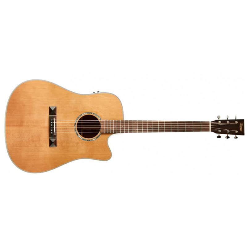 Tasman TA-100 CE image 1