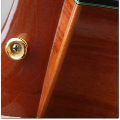 Taylor TAYLOR "Custom GS 12 Build to order LIMITED EDITION" (SECOND HAND) image 16