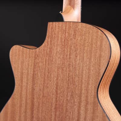 2025 NEW NECK Furch Blue Plus D-CM a Western Red Cedar / African Mahogany with Case CNR SYSTEM ACTIVE image 9