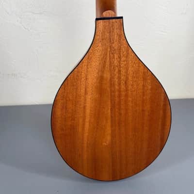 Custom-Built Flat-Back Mandolin with Case image 8