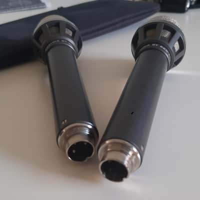 Set of 2x AKG D190 - Grey - Built for Beaulieu - Klein tuchel image 10