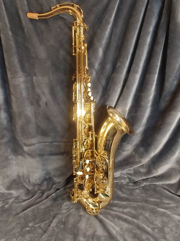 Selmer  Giardinelli GTS-12 Series - MINT - Ready for Owner image 1