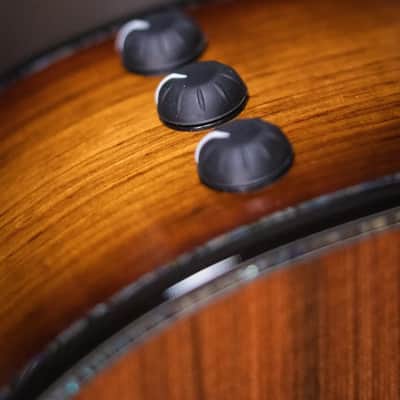 Taylor PS12ce 12-Fret Honduran Rosewood/Sinker Redwood Acoustic Electric Guitar with Deluxe Hardshell Case image 12