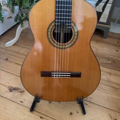 Steven R Toon  2024 - Cedar Nomex Double Top Classical Guitar  - Stunning (Very Hard to aquire 1.5 year lead time ) image 3