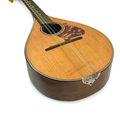 Antoine Di Mauro Flat Back Mandolin 1950's image 17