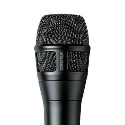 Shure NXN8/S Supercardioid Dynamic Vocal Microphone for Professional Performance image 1