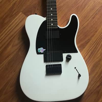 Fender Jim Root Artist Series Signature Telecaster 2008 - Present - Flat White image 1