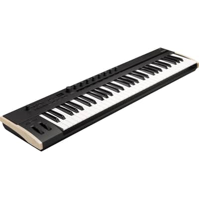 Korg Keystage 61 Poly AT MIDI Keyboard Controller PEDAL KIT image 6