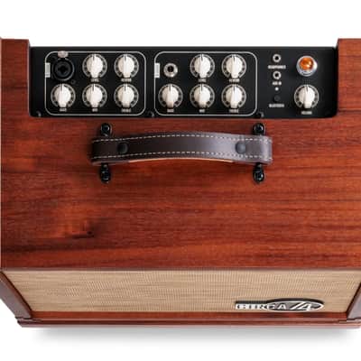 Taylor Circa 74 AV150-10 Acoustic Amplifier & Vocal System, Mahogany image 4