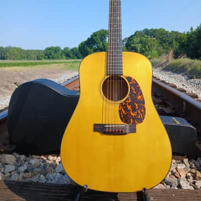Martin D-16 Adirondack 2010 w/LR Baggs Element~Tortoise Bridge Pins~Upgrades~Very Nice image 1