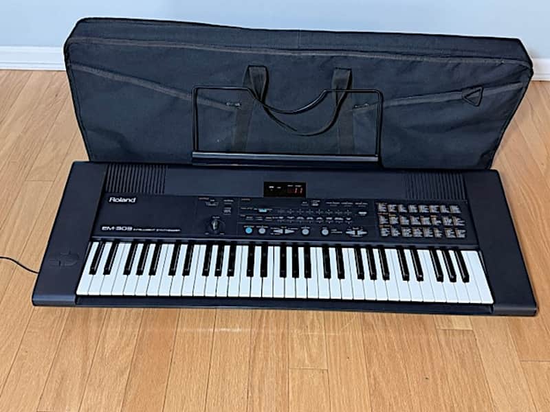Roland EM-303 Intelligent Arranger Synthesizer, 61 Dynamic Keys, w/ Gig Bag, Music Rest, Adapter & Owner's Manual Very Good Condition image 1