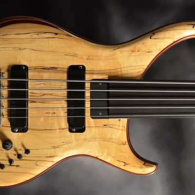 Alembic Custom CLB5 Fretless 5 String With LEDs image 2