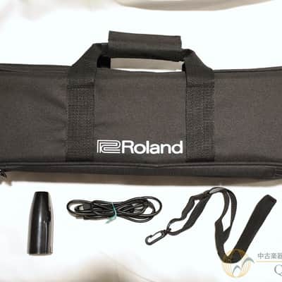 Immagine Roland AE-05 - 10