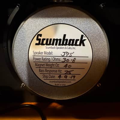 Tungsten Amplification - Buckwheat 112 Combo image 6