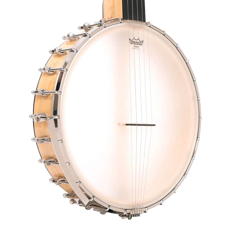 Gold Tone BC-350 Bob Carlin Signature Series Openback Banjo image 1