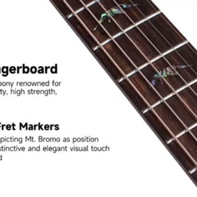 Bromo BAR 5 CE All-Solid Cut-A-Way Acoustic image 12