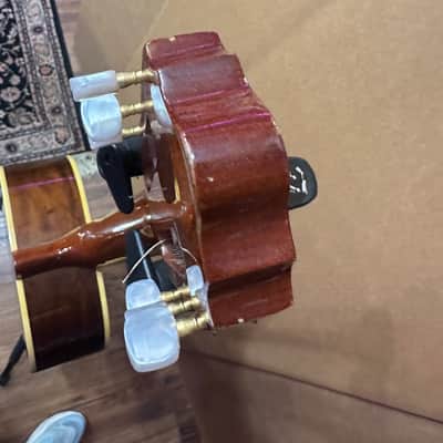 Giannini Serie Estudo Acoustic Guitar - Brazil image 7