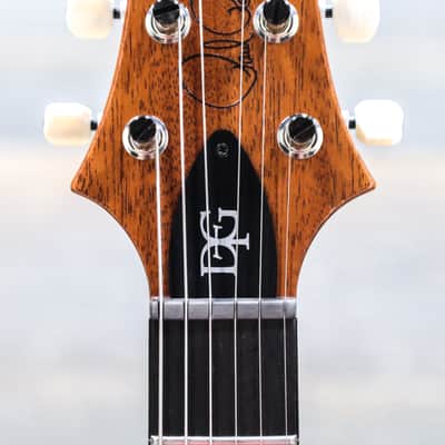PRS DGT (David Grissom Trem) Charcoal with Bird Inlays Electric Guitar w/Case image 7