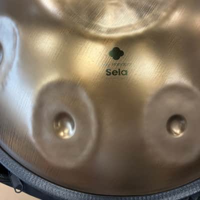 Sela Unity Stainless Handpan D Amara SE305 imagen 3
