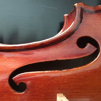 1950 Jago Peternella violin, Venezia image 15