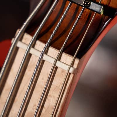 Cort GBFUSION5ABB GB-Fusion 5 Solid Alder Body Spalted Maple Top Hard Maple Neck 5-String Electric Bass Guitar w/Gig Bag image 17