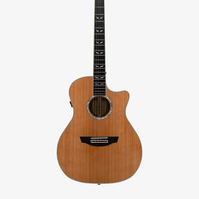 Orangewood Mason Live Nylon-String Guitar image 1