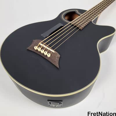Warwick Alien Standard 5-String Acoustic Bass w/ Fishman Piezo System w/ Bag - 6.50 Pounds #9407-22 image 4