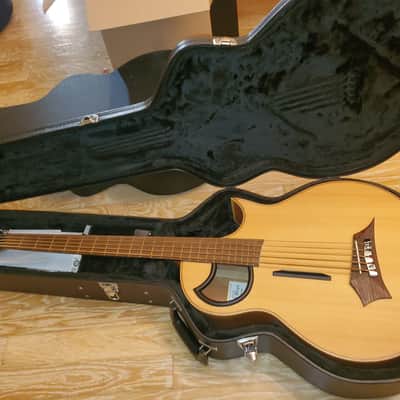 Warwick Alien Acoustic Bass 5 String (B-Stock) + + bonus/Free ToneWood Amp for Acoustic Guitar + bonus/Free Taylor Precision Digital Hygrometer and Thermometer image 14