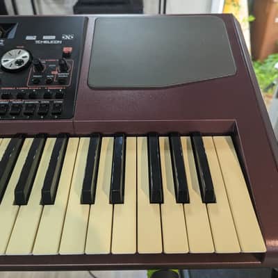 Korg PA1000 61-Key Professional Arranger 2017 - Present - Red image 10