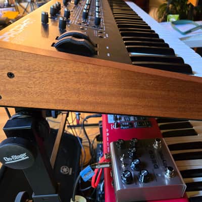 Sequential Prophet Rev2 61-Key 8-Voice Polyphonic Synthesizer 2018 - Present - Black with Wood Sides image 6