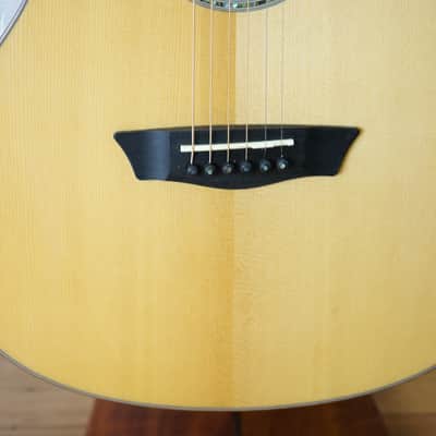 Washburn WLO100SWEK Woodline Solid Wood Orchestra - Natural image 7