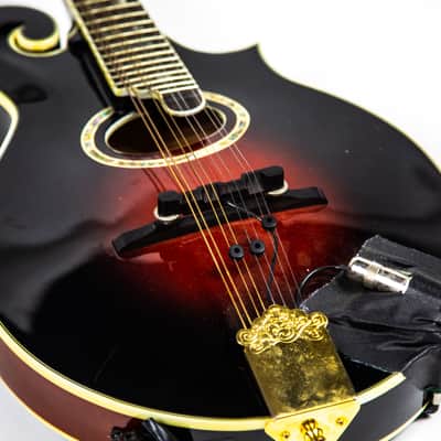 Michael Kelly F Style Mandolin Owned by Matt Freeman Of Rancid image 10