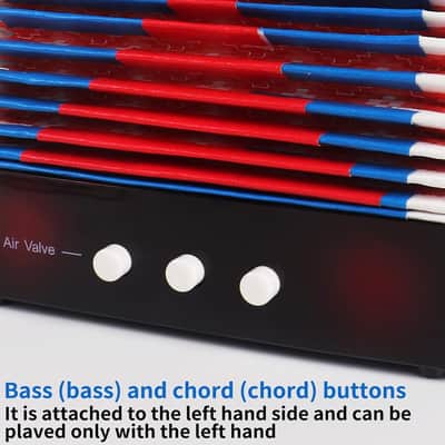 Kids Accordion, 10 Keys Button Control Kid Accordions Musical Instruments for Child Children Toddlers Beginners Accordian Lightweight 7 key 3 Bass Mini image 6