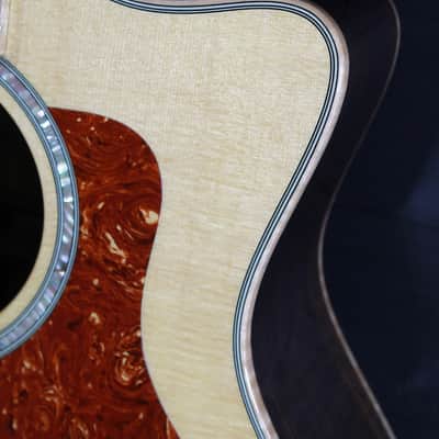 Taylor 856ce 12-String Rosewood Grand Symphony Acoustic-Electric Guitar image 19