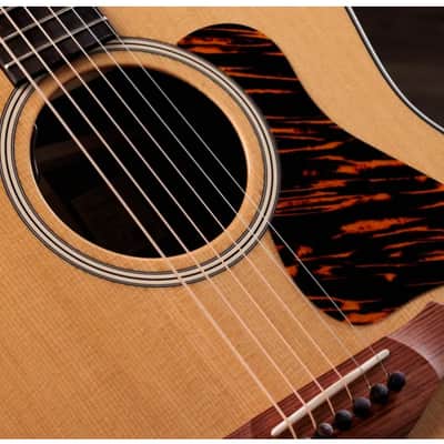 Taylor Gold Label 717e Torrefied Spruce Top, Indian Rosewood Back and Sides, LR Baggs Element VTC Electronics with Case 2026 image 6