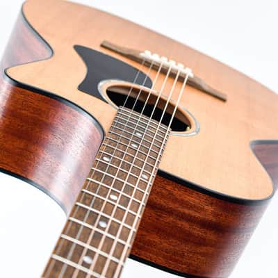 Eastman PCH1 GACE image 10