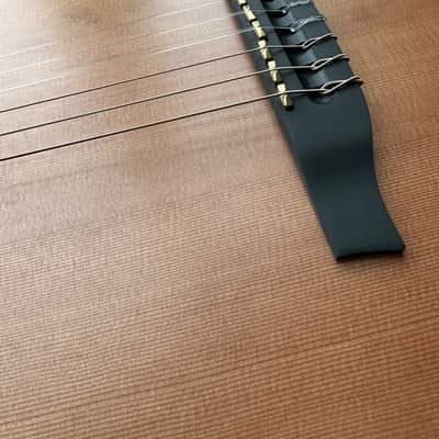 Godin Multiac ACS SA Nylon image 14
